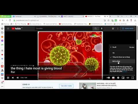 Cách tạo phụ đề tiếng Anh tiếng Việt cho Clip Youtube