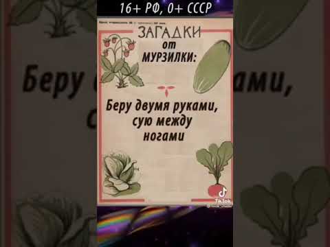 Забавные загадки для взрослых 🎉