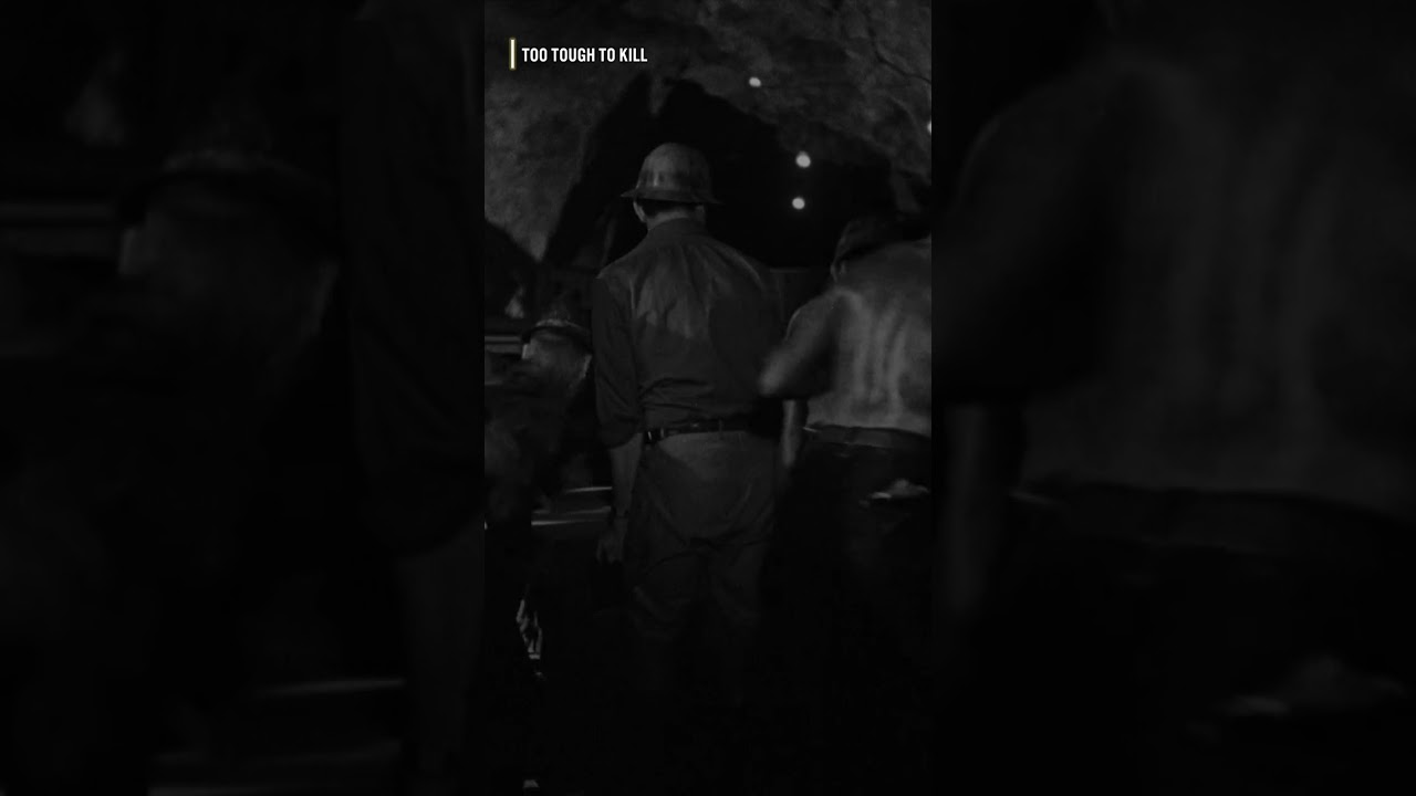 Too Tough to Kill: Action & Adventure Scene 🎬