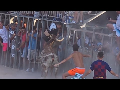 Denia es Noticia - Fiestas de Interés Turístico Bous a la Mar 🌊 6 julio 2025