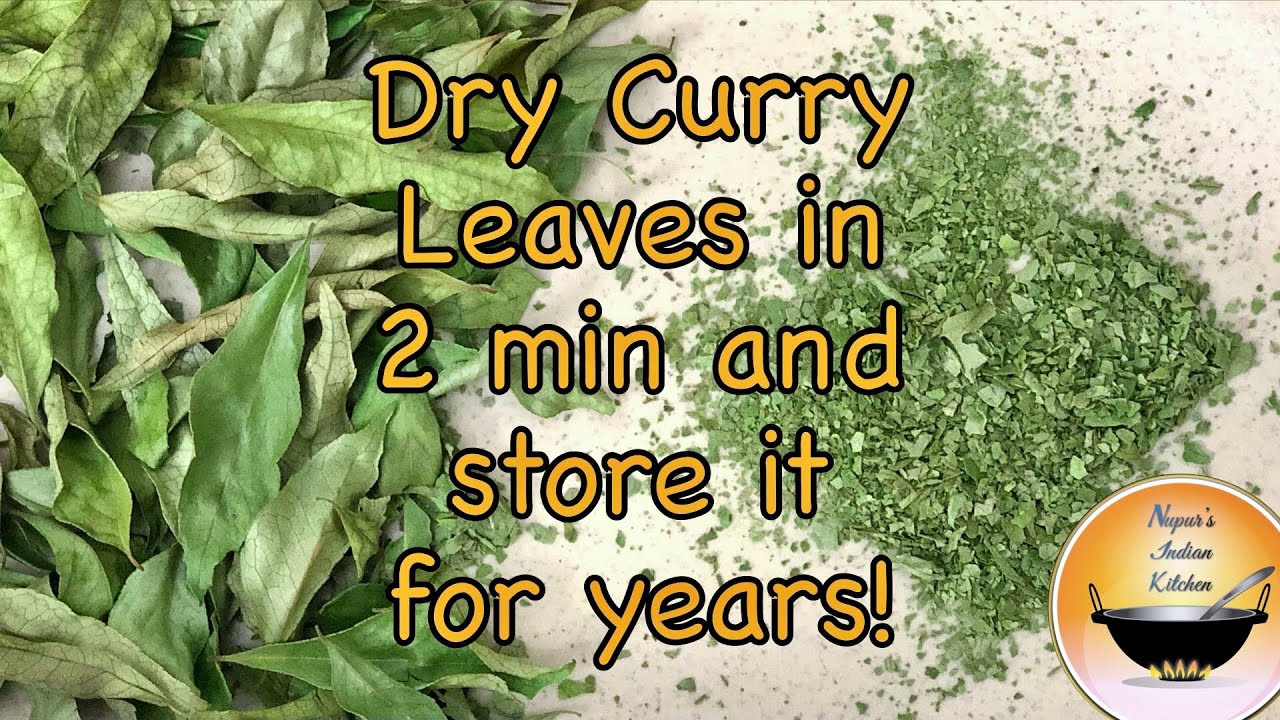 How to Dry and Store Curry Leaves 🌿