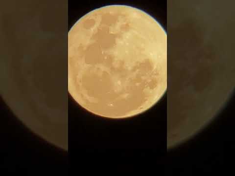 A maior Superlua de 2022 "Lua dos cervos" #shorts