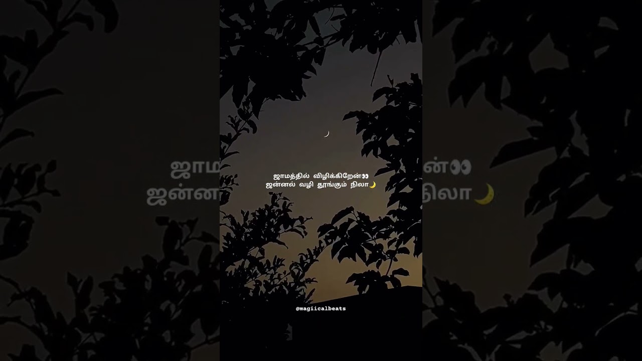 Dhimmu Dhimmu Song from Engeyum Kaadhal 🎶