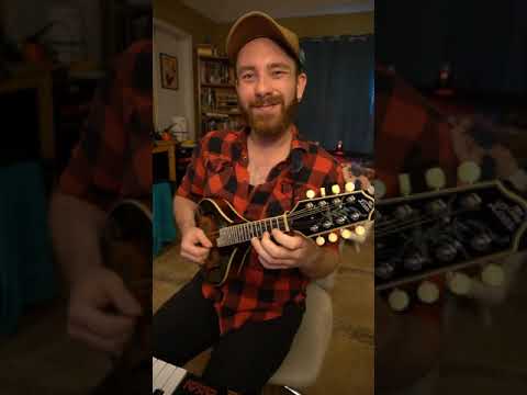 Stardew Valley (Folk Edition)