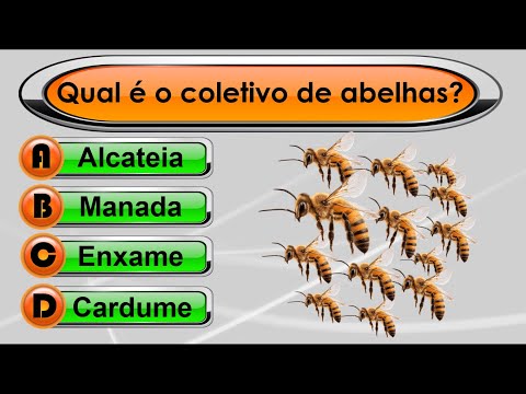 QUIZ VIRTUAL 95 | Perguntas de Conhecimentos Gerais com respostas! Faça o Teste!