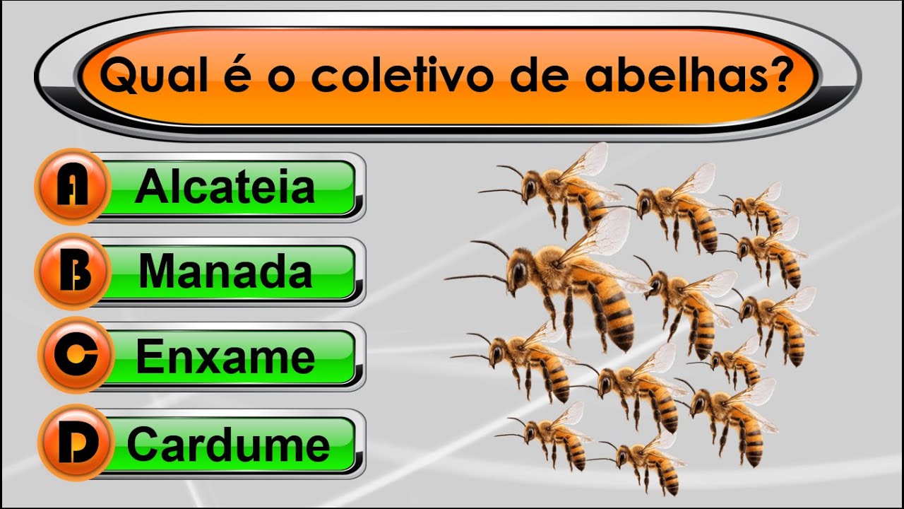 Desafie seus Conhecimentos com o Quiz Virtual 95! 🧠