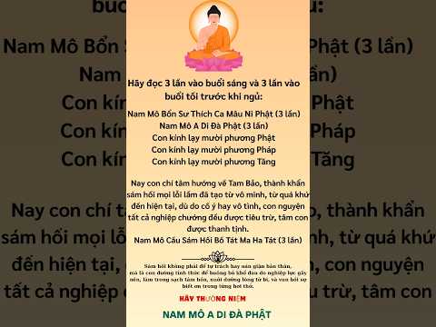 Sám Hối Mỗi Ngày – Hành Trì Buông Xả Nghiệp Chướng #phatgiao #loiphatday #phậtgiáo
