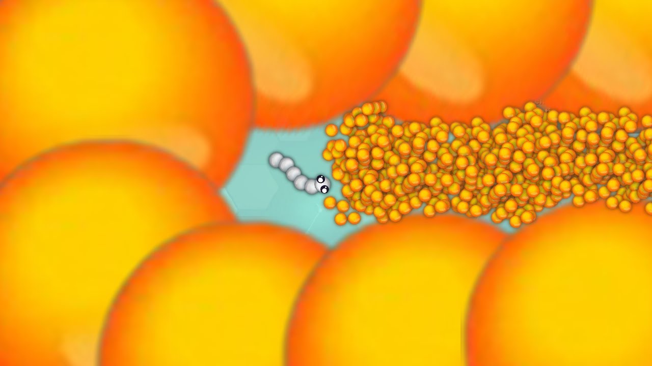 🐍 Master Your Skills in Snake.io – Epic Multiplayer Snake Game!