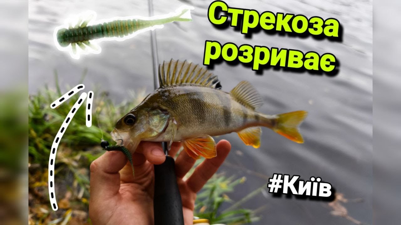 Мікроджиг у Києві: Осінній улов 🍁