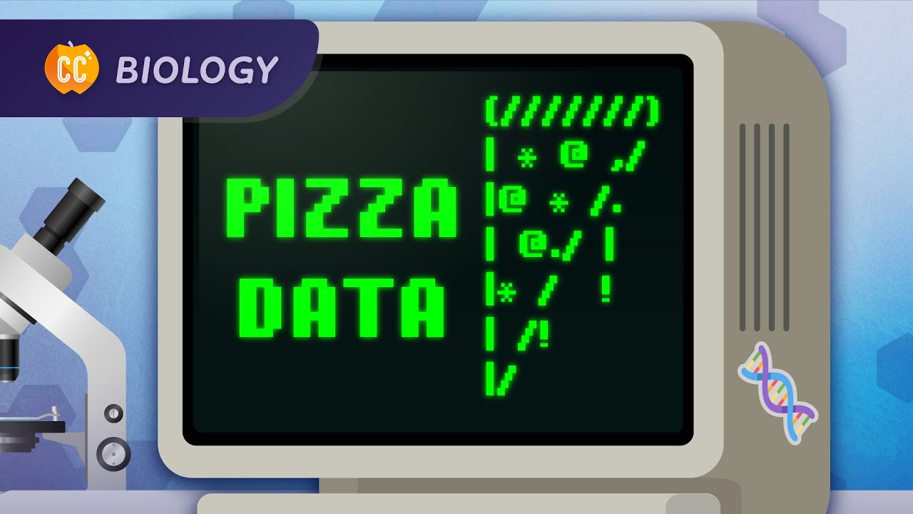 Bioinformatics: How Data Saves Lives 🧬