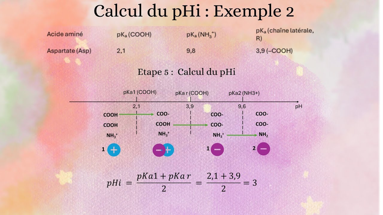 Biochimie : Calcul du pHi des acides aminés 🧪