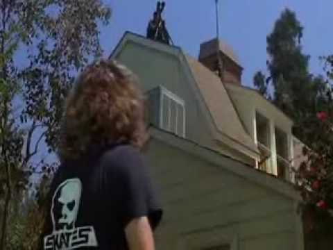 Funny Quotes from The Burbs 🎬