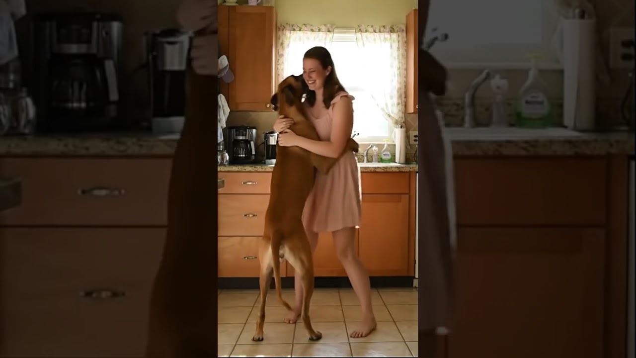 Sweet Morning Kisses from a Little White Boxer 🐶