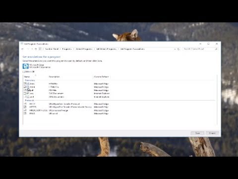 Can't Open PDF Files On Windows - Quick Fix