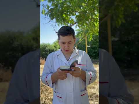 3 июля 2025г. Евангелие дня Мф. 11:27-30 #moldova #balti #поповка #popovca #евангелие #библия