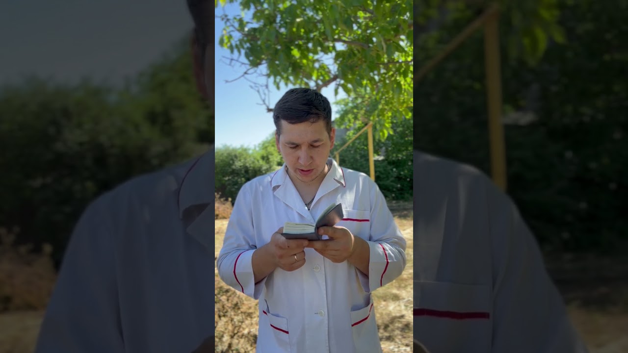 3 Евангелие дня: Мф. 11:27-30 (3 июля 2025) ✝️