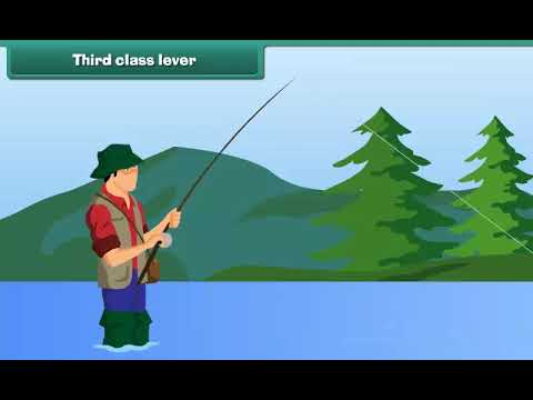 Understanding the Third Class Lever 🔧