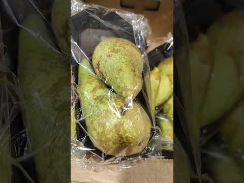 Цены на груши в Пятёрочке: Ужасные цены поштучно! 😱