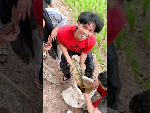 Petualangan di kampung habis lebaran😄 #funny #liburan #pulangkampung #lebaran #ichaltkd