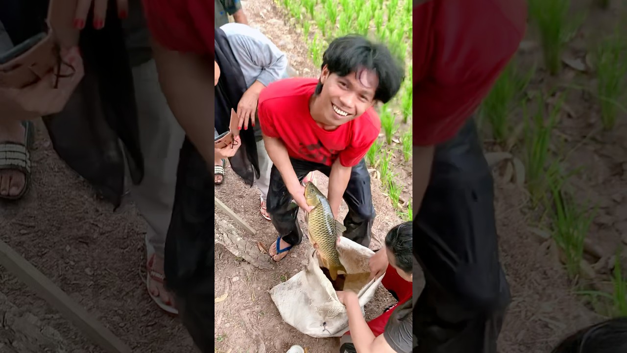 Seru Pulang Kampung Setelah Lebaran! 🌾 Petualangan Seru di Desa