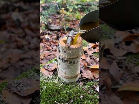 Survival Skills Amazing Beeswax Candle. #survival #camping #outdoors #bushcraft