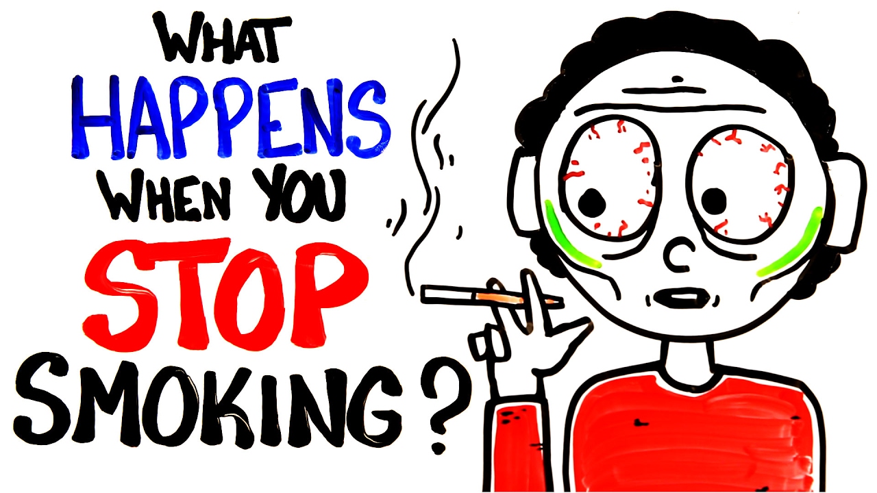 What Happens to Your Body When You Quit Smoking? | Rapid Recovery Insights 🚭