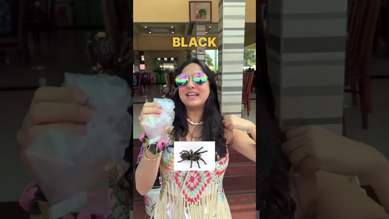 Tasting & Rating Insects in Cambodia π·οΈ