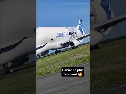 avion béluga au décollage 🛫 #avion #aviation #beluga #airplane #decollage #airbus #airbusa380