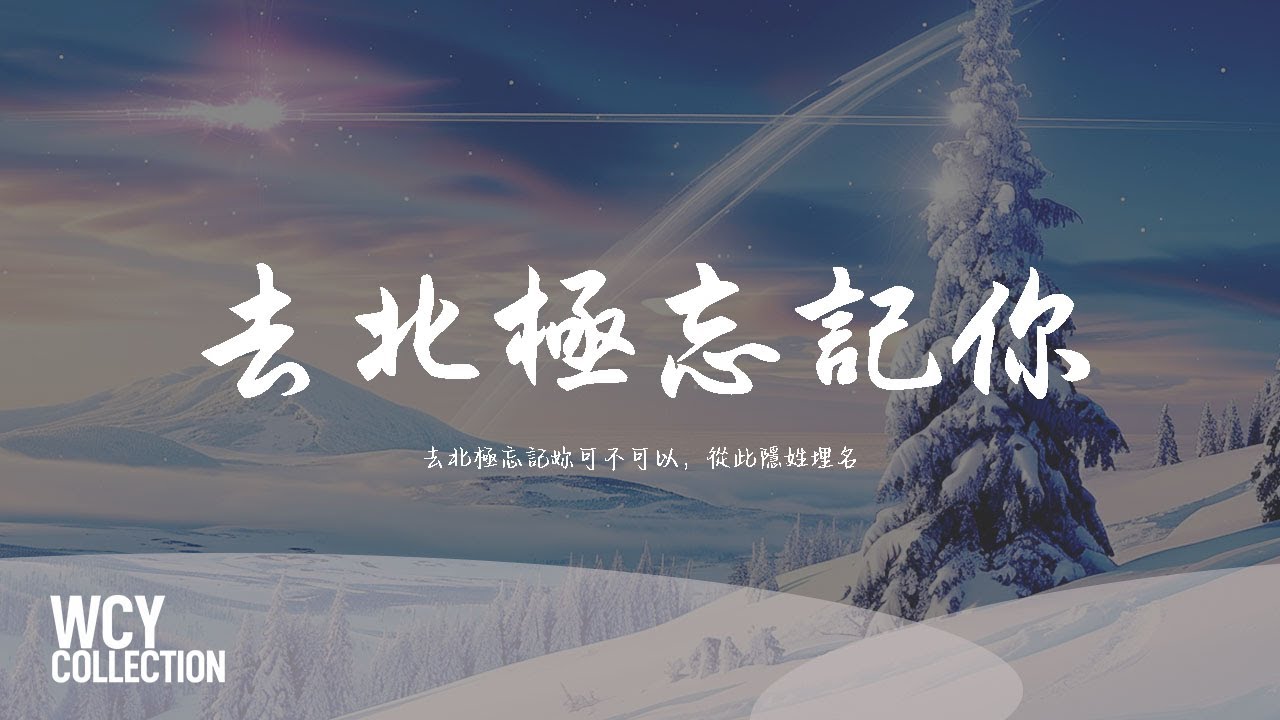 Gareth.T - 去北极忘记你🎶 动态歌词完整版（拼音歌词）