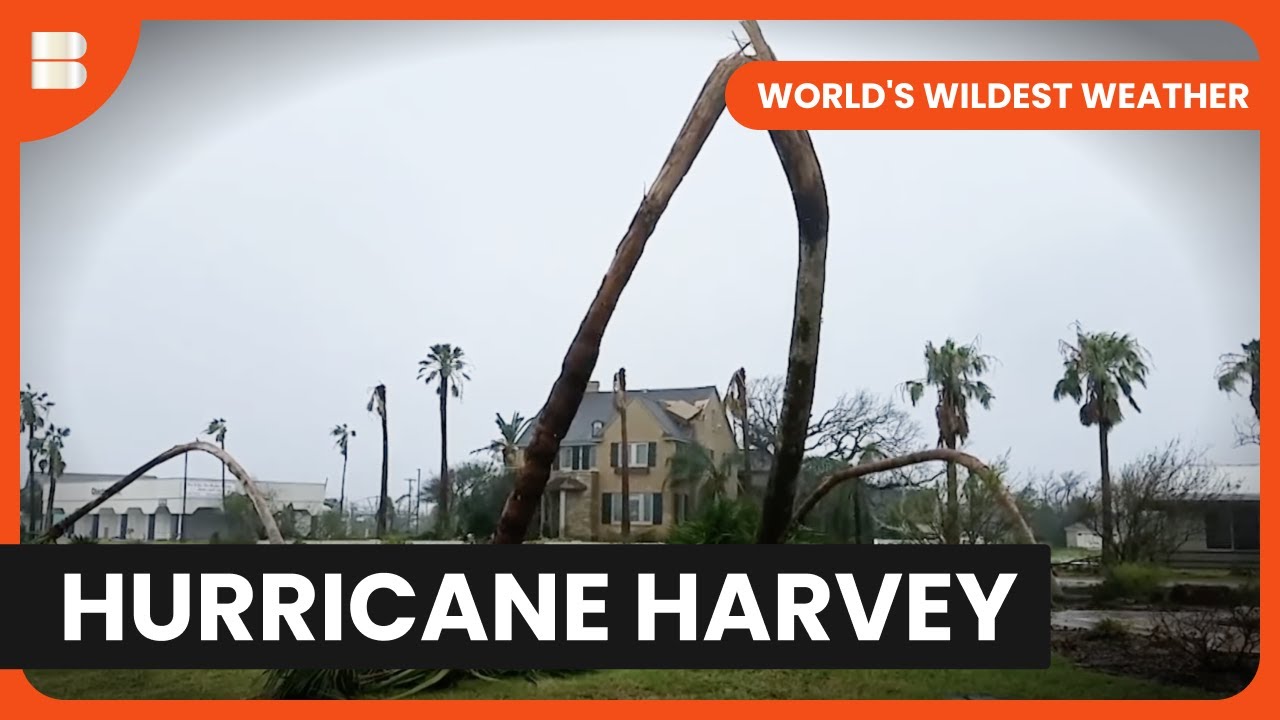 Inside the Hurricane Harvey Aftermath - World's Wildest Weather - Nature Documentary