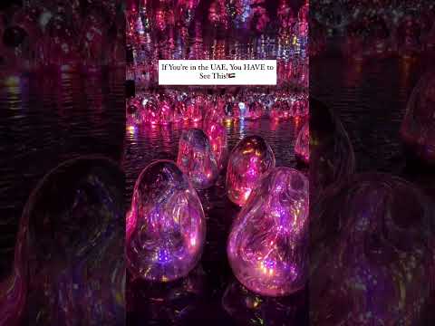 Places to Visit in Abu Dhabi , Abu Dhabi Must Visit Place