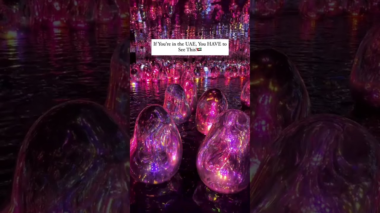 Top Must-Visit Spots in Abu Dhabi 🌆