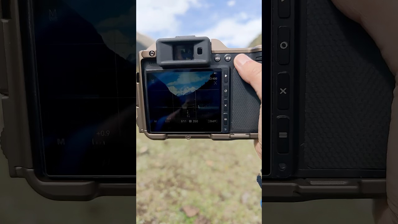 Nature’s Gentle Gaze in 100MP 📸 | Hasselblad X2D 100C