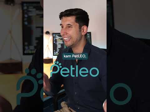 Mein Lebenslauf #programmierer #lebenslauf #dialog