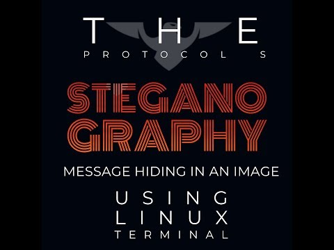 How To Hide A Message In An Image (Steganography) Using Linux Terminal | The Protocol S