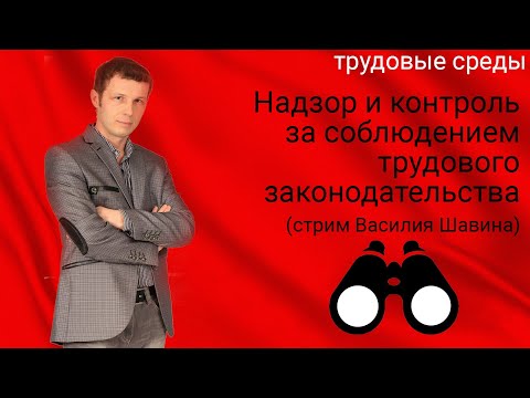 Трудовые споры (стрим Василия Шавина)