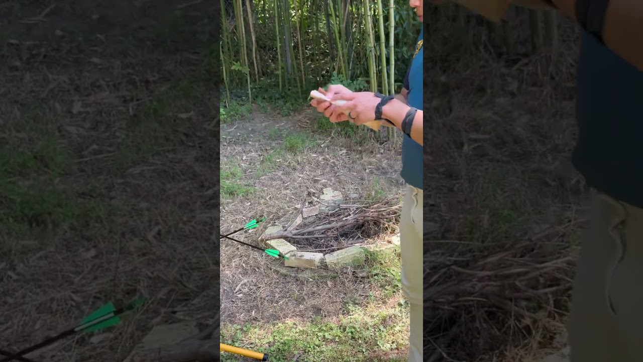 Dreamed of a Creative Career at Age 3 π¨