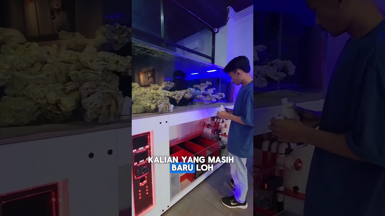 Beli Akuarium Laut, Malah Lumut! 🌊