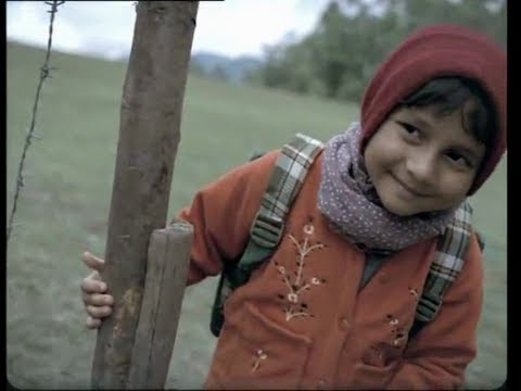 Hukus Bukus ICICI Ad with Lyrics 🎶