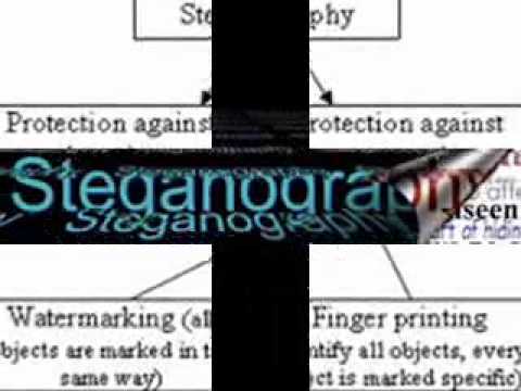 Unlock the Secrets of Audio Steganography 🎧 | How Hidden Data Is Concealed in Sound Files