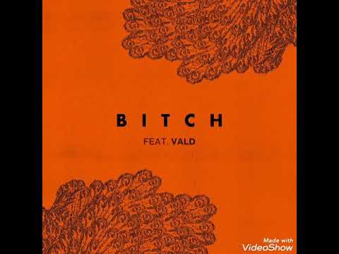 Lefa - Bitch ft. Vald 🎶