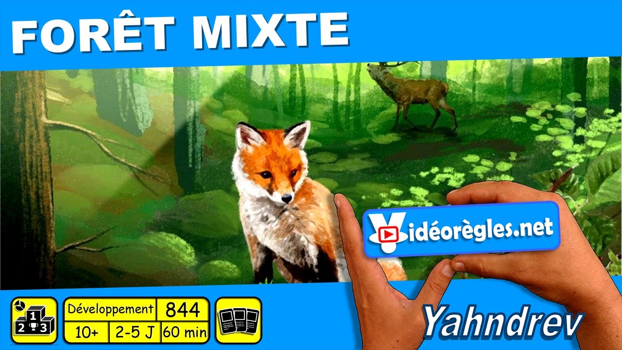 Vidéorègle du jeu de société FORET MIXTE 🌳