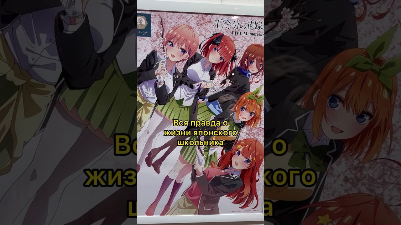 Правда о японских школах 🇯🇵