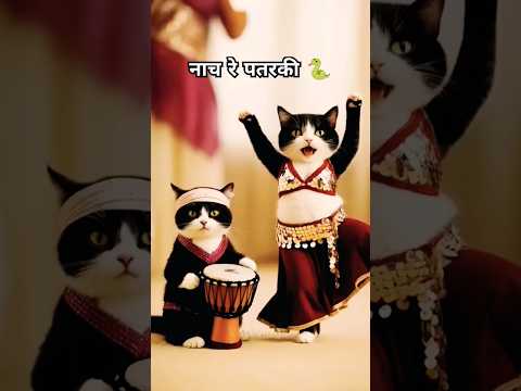 नाच रे पतरकी 🐍cat dance #shortvideos #trending #short ##dance