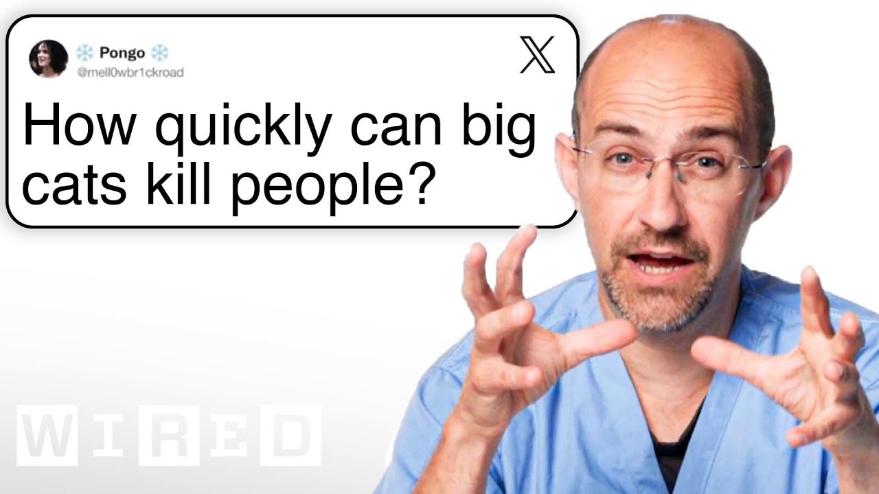 Vet Answers Wild Animal Questions 🦒