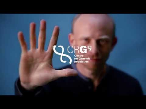 The secret code ruling body formation (by James Sharpe)