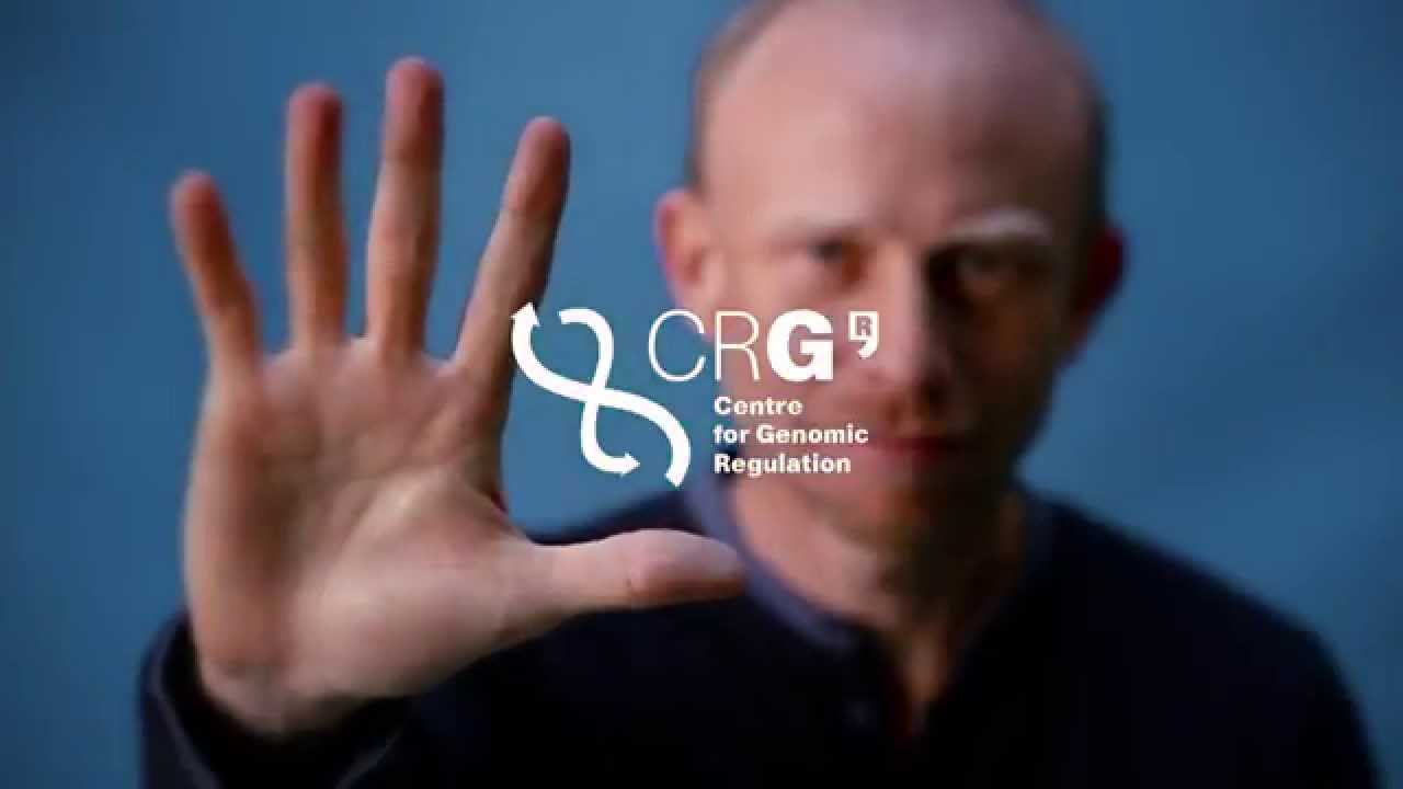 Unlocking Nature's Code: Turing’s Mathematical Theory Explains Embryogenesis 🧬