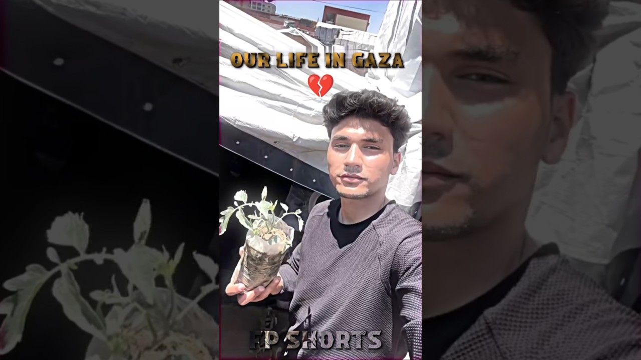My life in Gaza #gaza #resilience #palestine