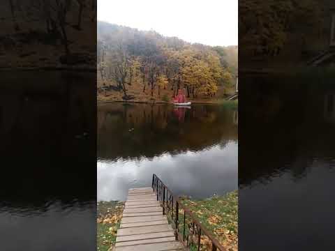 Райский уголок в г Саратове #shorts #саратов #саратовскаяобласть #осень