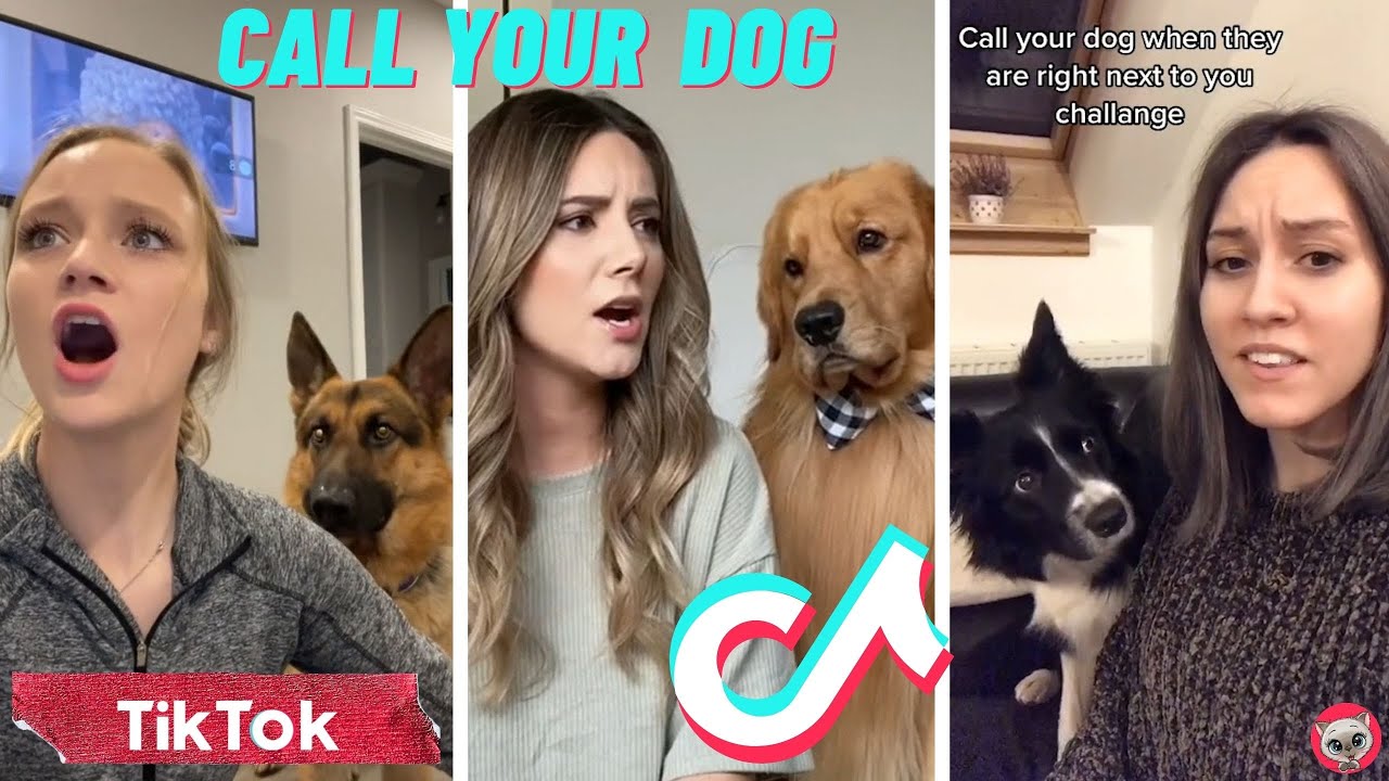 Calling Your Dog's Name When Close 🐶 TikTok Compilation